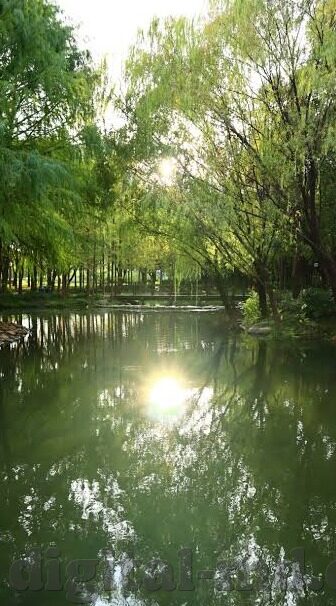 糖心视频app安装并下载-简单几步走，轻松体验糖心视频——APP的下载与安装指南